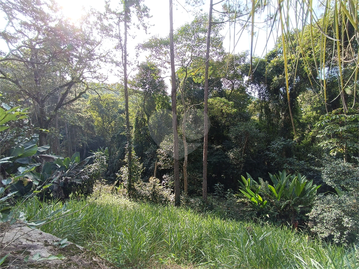 Foto REO1111640