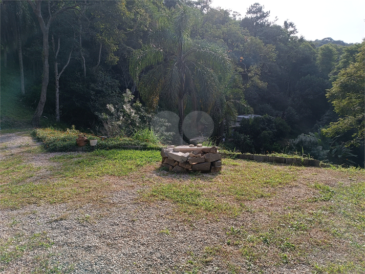 Foto REO1111640