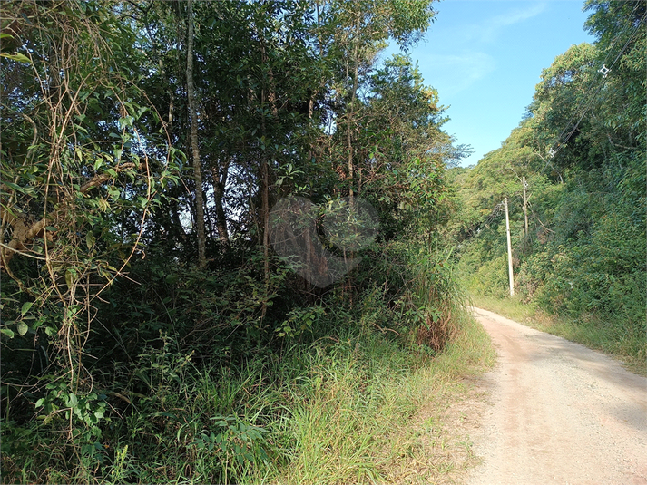 Foto REO1111640