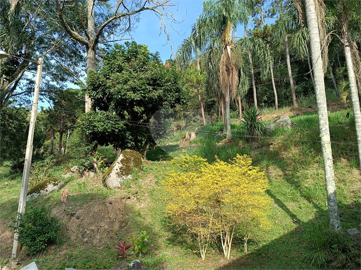 Foto REO1111640