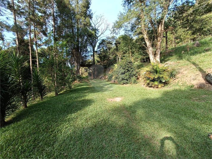 Foto REO1111640