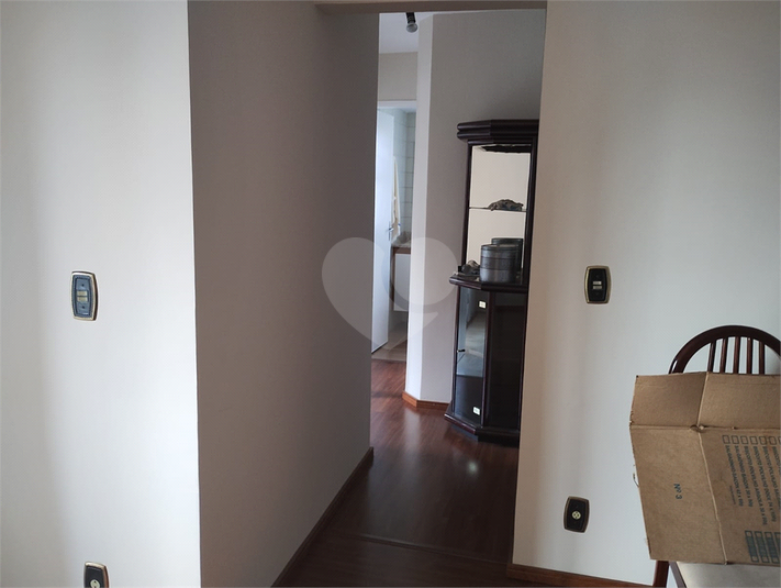 Foto REO1111652