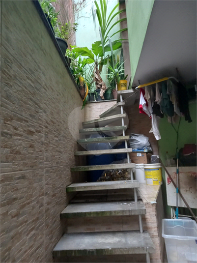 Foto REO1111658