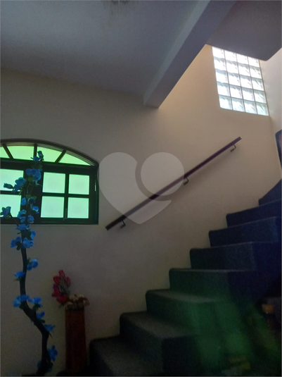 Foto REO1111658