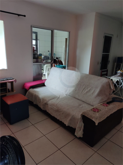 Foto REO1111666