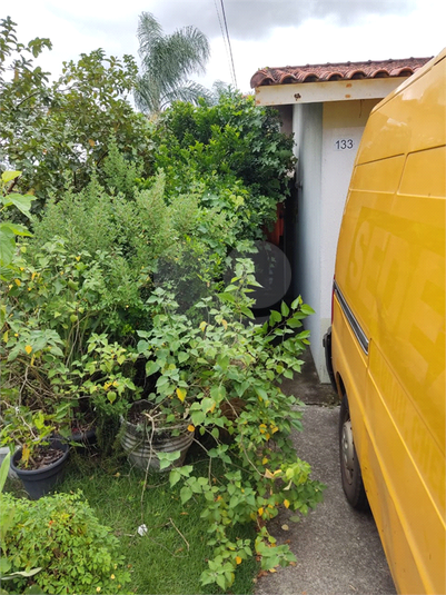 Foto REO1111666