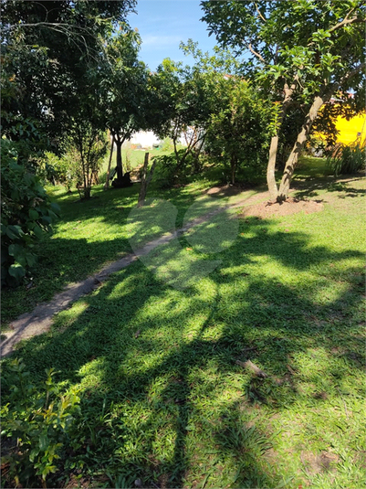 Foto REO1111666