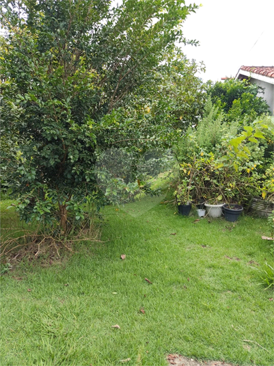 Foto REO1111666