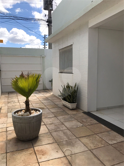 Foto REO1111667
