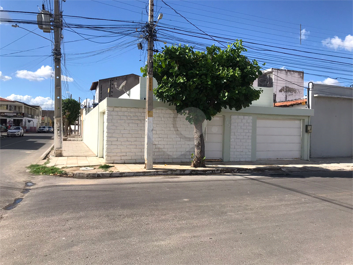 Foto REO1111667