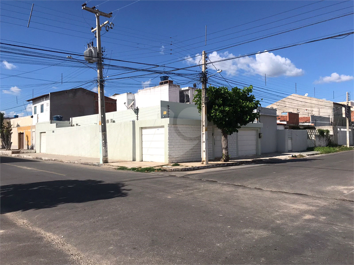 Foto REO1111667