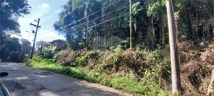 Foto REO1111672