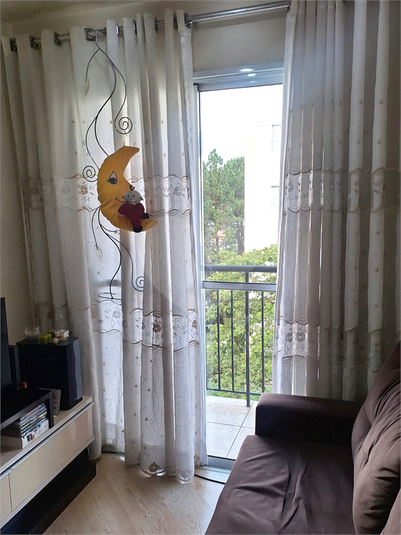 Foto REO1111675