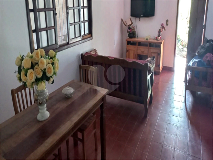 Foto REO1111683