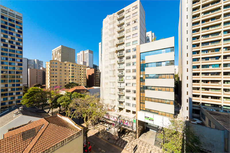 Foto REO1111686