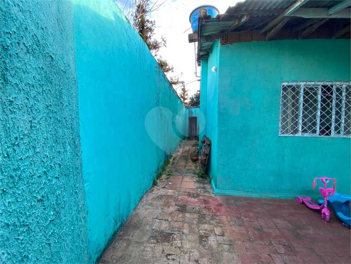 Foto REO1111689