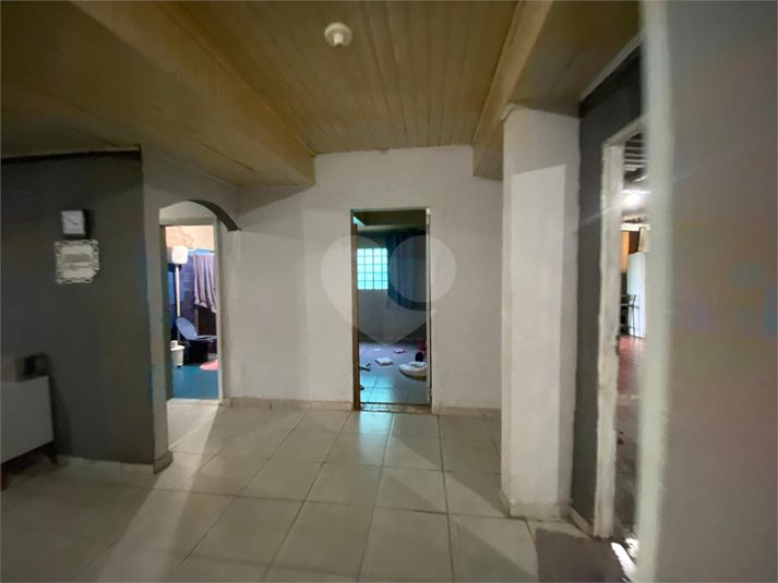 Foto REO1111689