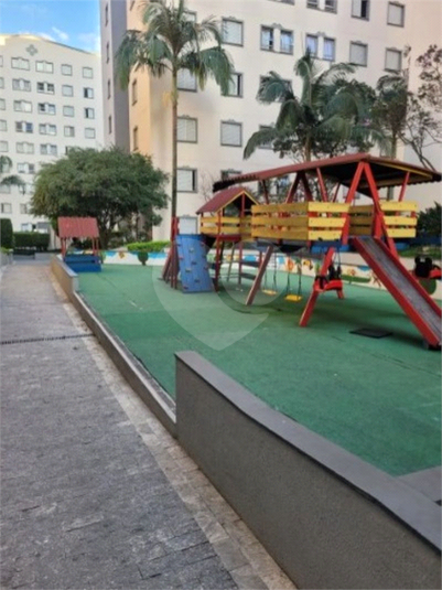 Foto REO1111694