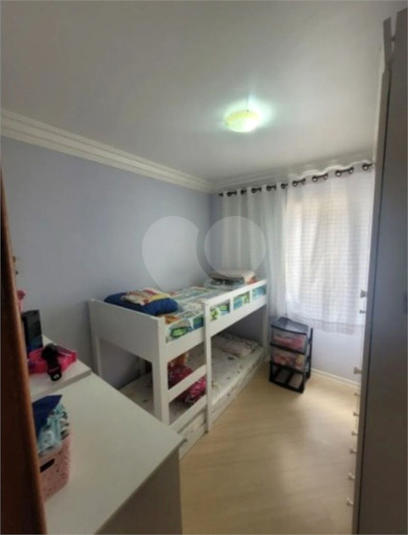 Foto REO1111694