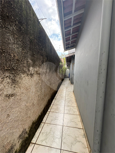 Foto REO1111699