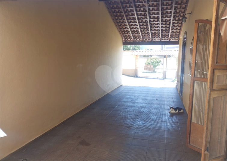 Foto REO1111703