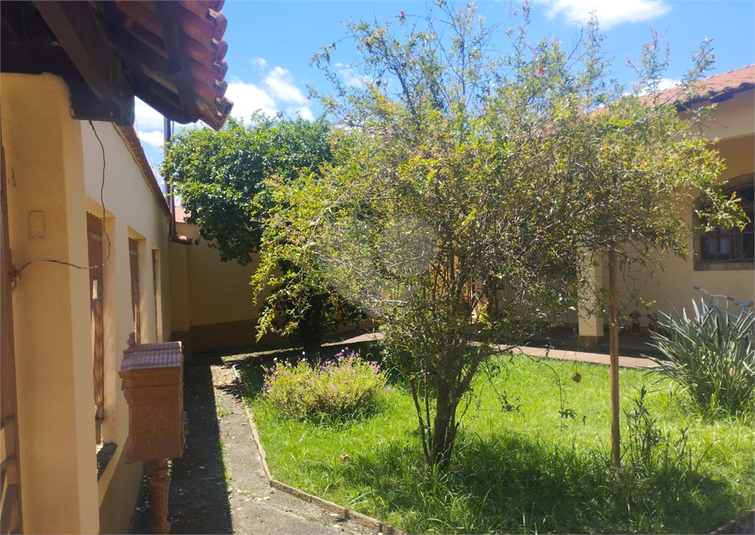 Foto REO1111703
