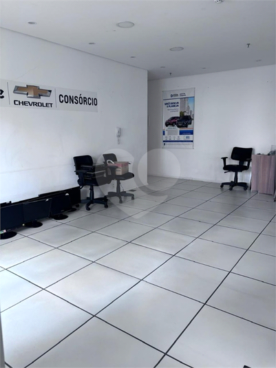 Foto REO1111707