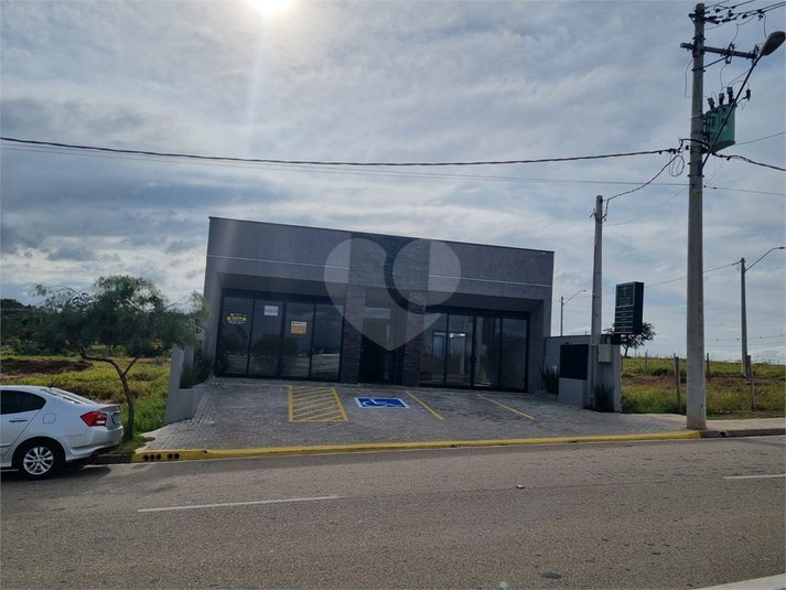 Foto REO1111719