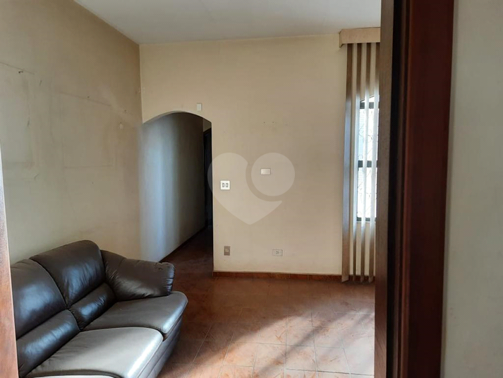 Foto REO1111748