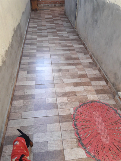 Foto REO1111762