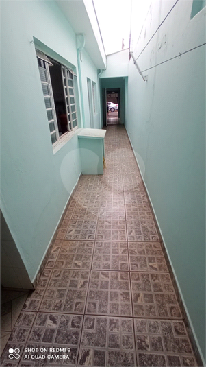 Foto REO1111767