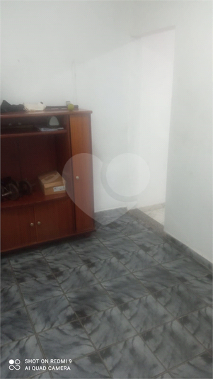Foto REO1111767
