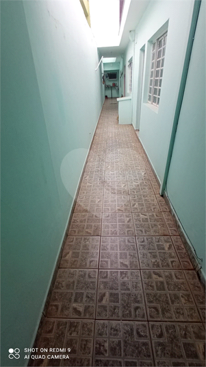 Foto REO1111767