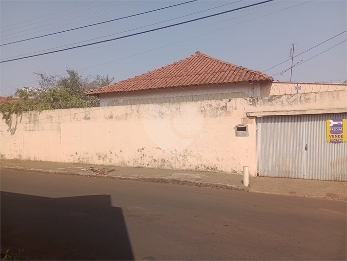 Foto REO1111779