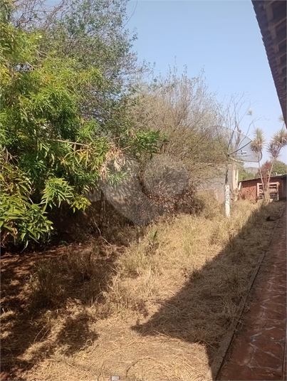 Foto REO1111779