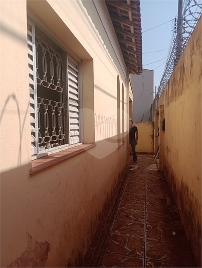 Foto REO1111779