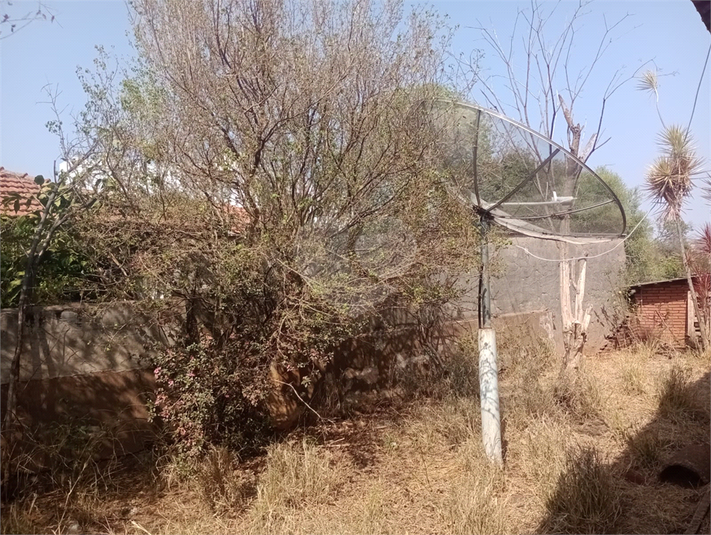 Foto REO1111779