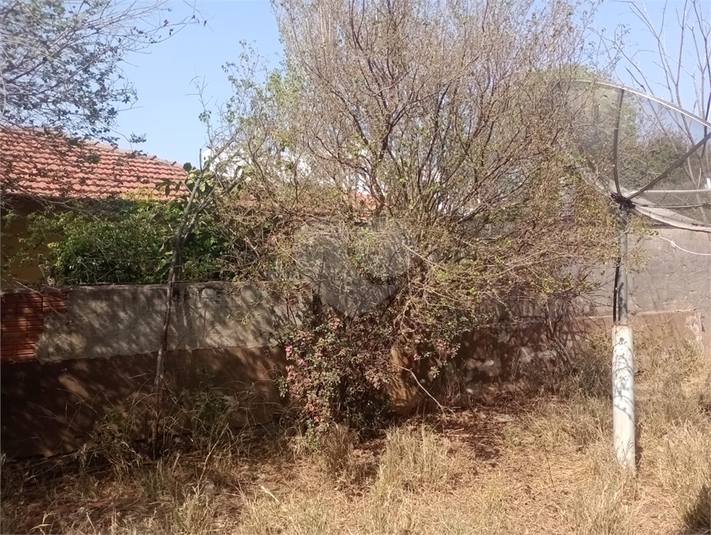 Foto REO1111779