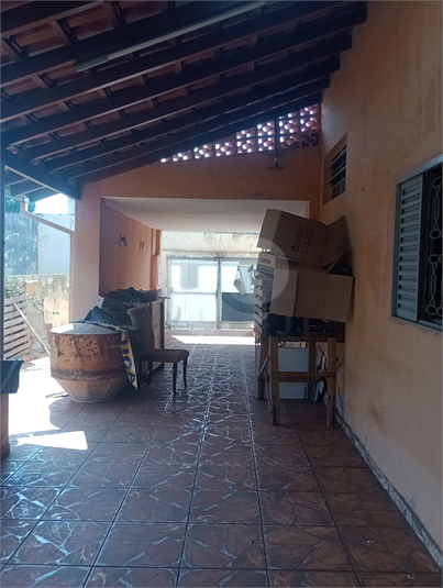 Foto REO1111779