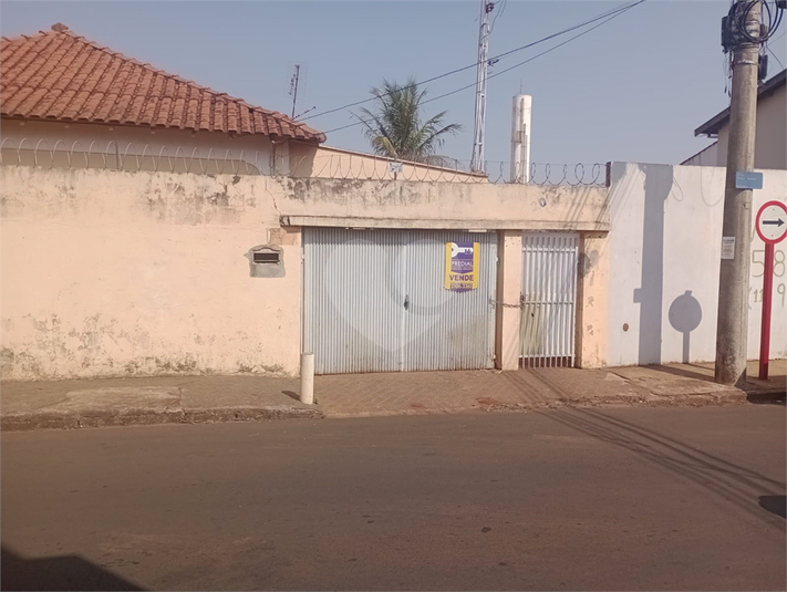 Foto REO1111779
