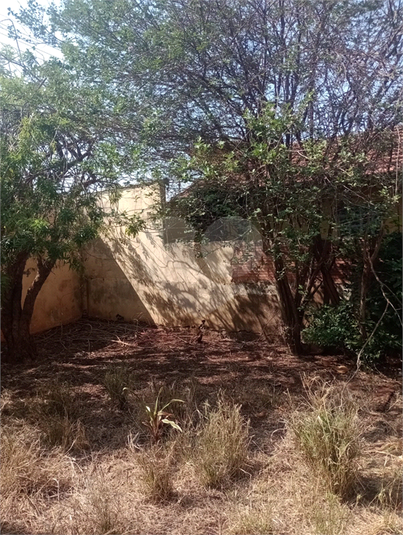 Foto REO1111779