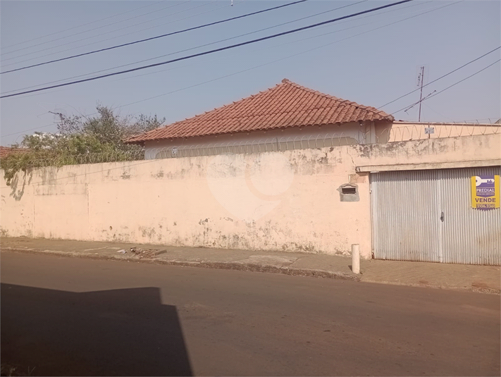 Foto REO1111779