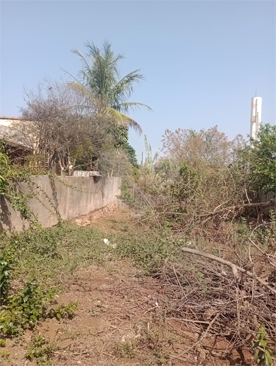 Foto REO1111779