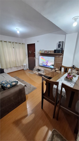 Foto REO1111786