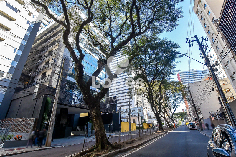 Foto REO1111796