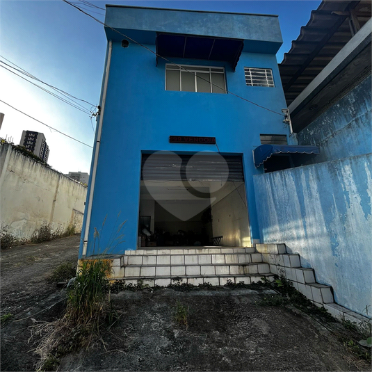 Foto REO1111825