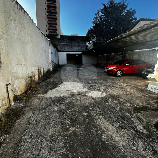 Foto REO1111825