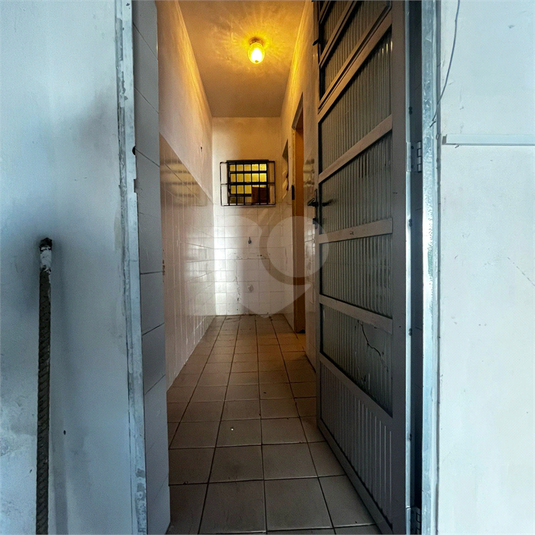Foto REO1111825