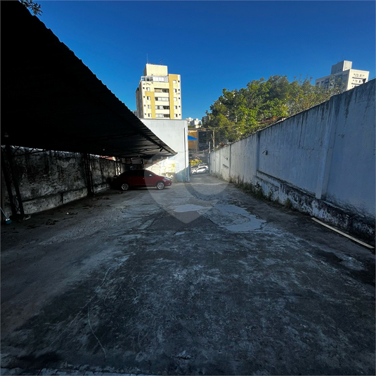 Foto REO1111825