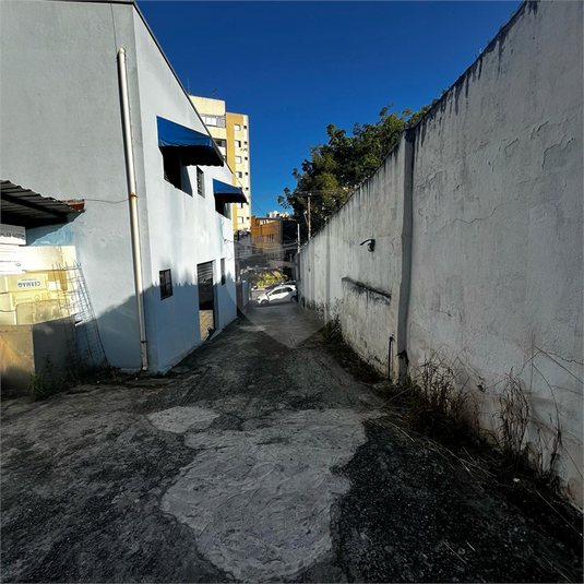 Foto REO1111825